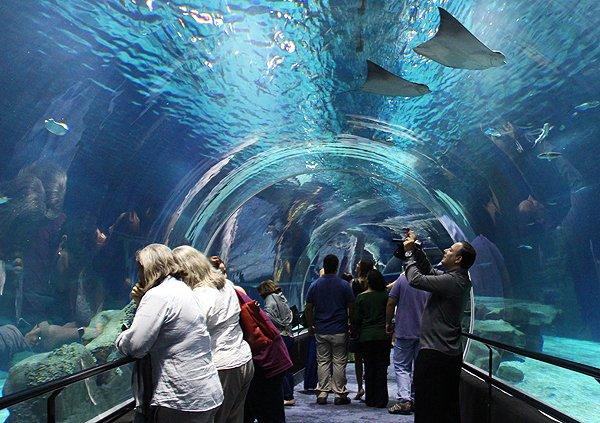 Acuario + Boulevard Olímpico - Río de Janeiro